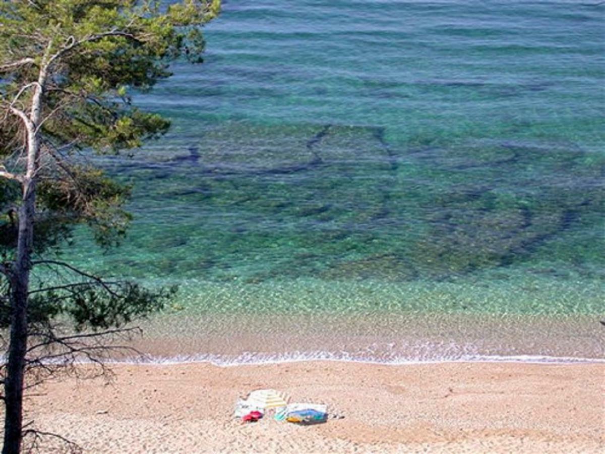 **** Beau T2 De 40 M2, Jardin De 70M2, Au Calme, A 50 Metres De La Plage Le Pradet Luaran gambar
